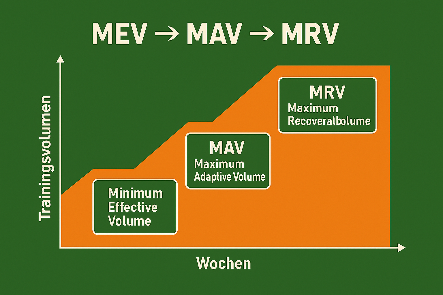 Grafik zu MEV MAV und MRV